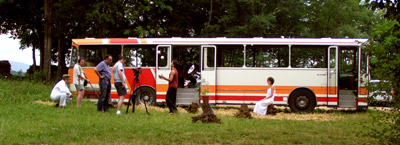 http://budurable.free.fr/images/film/0058.jpg