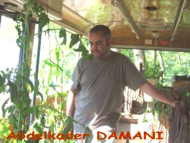 radio Pluriel